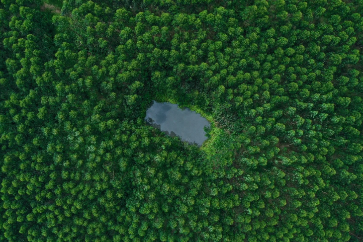 3 mechanisms for international carbon credit exchange in Viet Nam